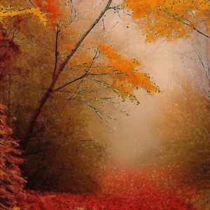 Artistic representation for This Is Why Autumn Can Make You Feel Extra Sleepy