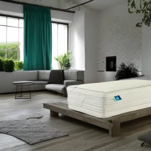 Artistic representation for The best organic mattresses in 2024 **Please note:** You will only get a response if the title you provide is within the specified