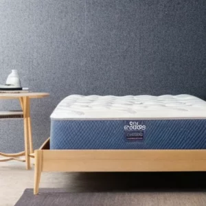 Artistic representation for The best mattress of 2024 , according to sleep experts | Fortune Recommends Health and Wellness This is your first article.
