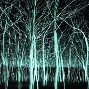 Artistic representation for Heart Burn At Night : This Is What You Can Do To Get Rid Of It.