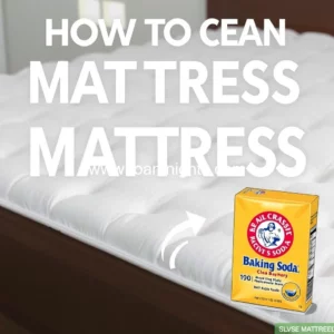 Artistic representation for How To Clean A Mattress With Baking Soda : 6 Steps