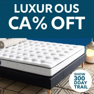 Artistic representation for Luxurious comfort mattress topper: quarter off with risk-free 30-day trial!