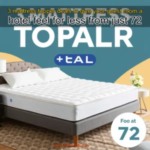 Artistic representation for 3 mattress topper deals to give your guest room a hotel feel for less from just 72