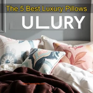 Artistic representation for The 5 Best Luxury Pillows