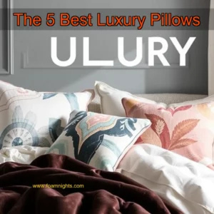 Artistic representation for The 5 Best Luxury Pillows