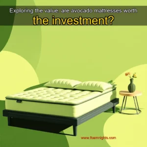 Artistic representation for Exploring the value: are avocado mattresses worth the investment?