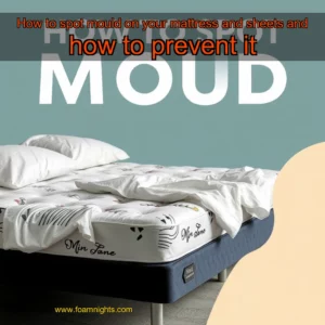 Artistic representation for How to spot mould on your mattress and sheets and how to prevent it