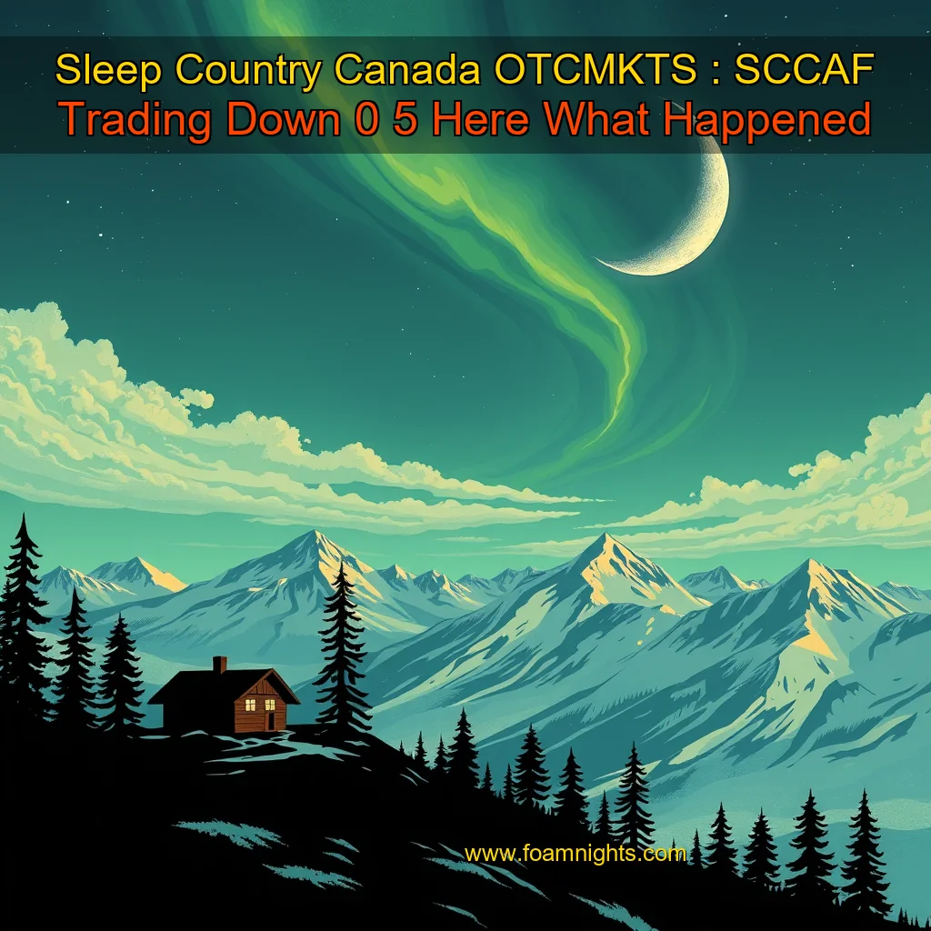 You are currently viewing Sleep Country Canada  OTCMKTS : SCCAF  Trading Down 0  5   Here What Happened