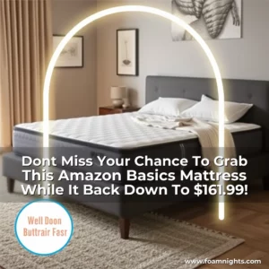 Artistic representation for Dont Miss Your Chance To Grab This Amazon Basics Mattress While It Back Down To $161.99!